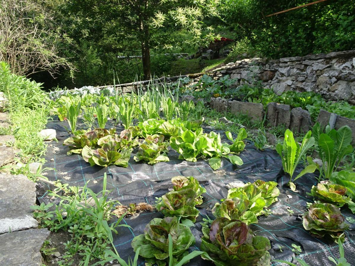 크로도 Casa Zizi 빌라 외부 사진